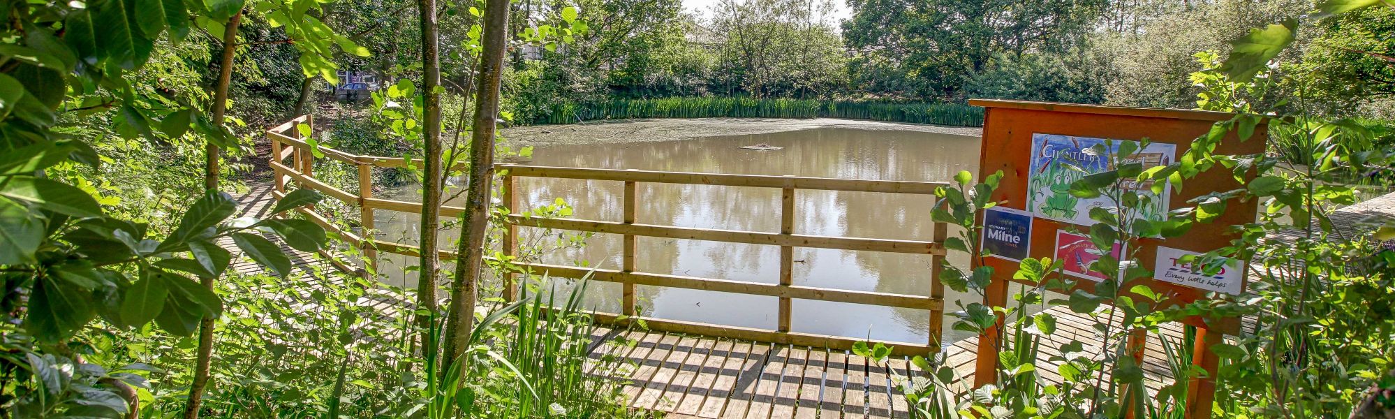 Chantlers primary School pond area