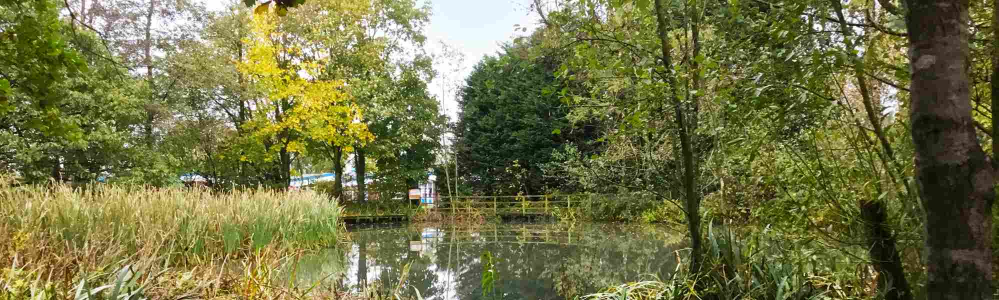 Chantlers Primary School forest school pond