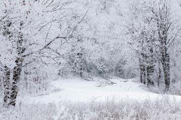 January and February Newsletter